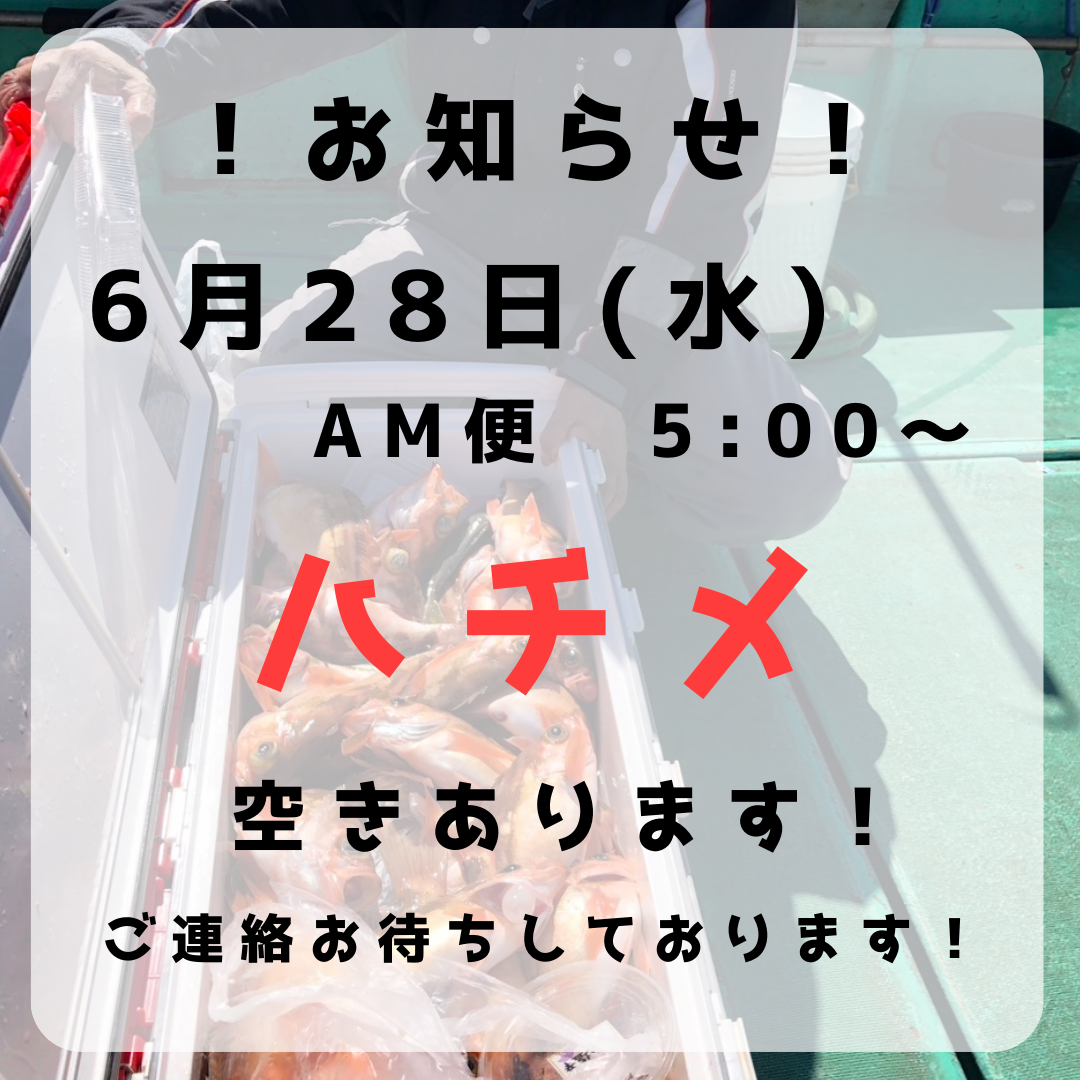 ６月２８日(水)空きあります！