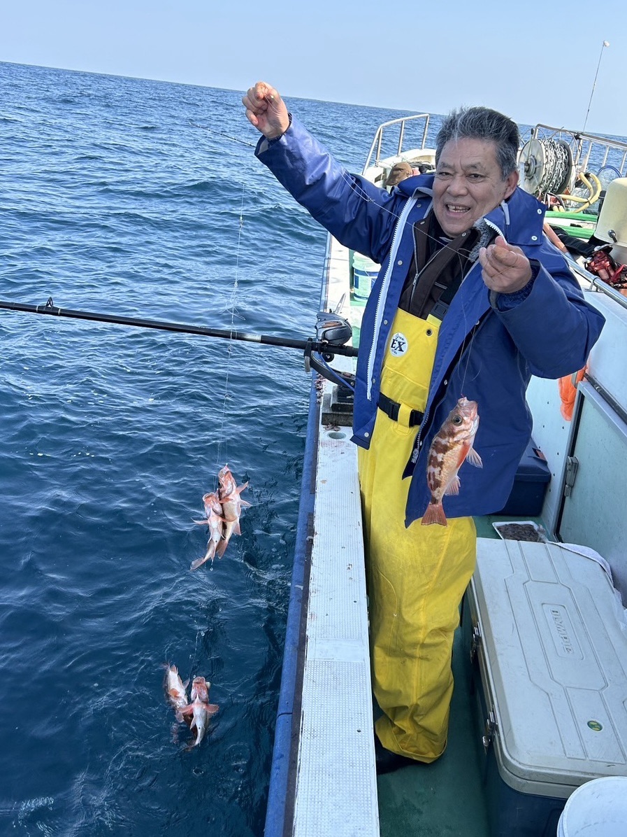 ハチメ釣れてます